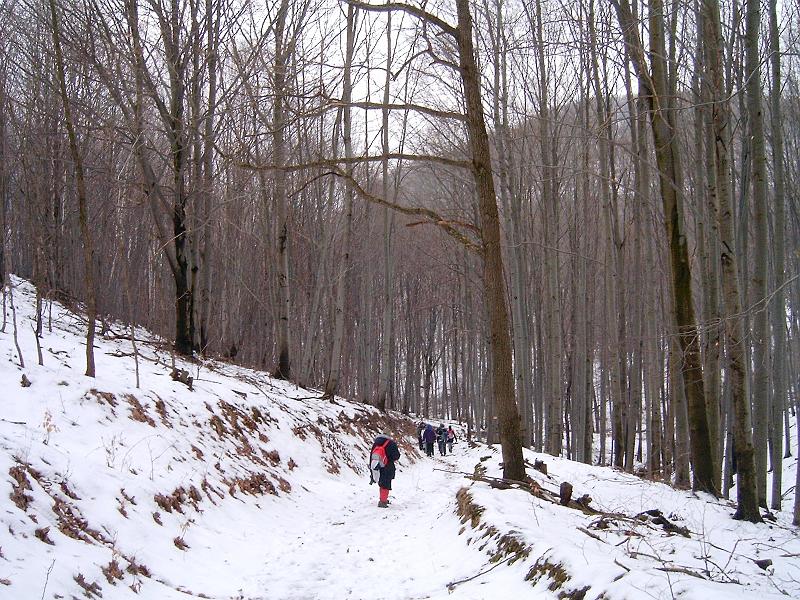 20110219 047.jpg